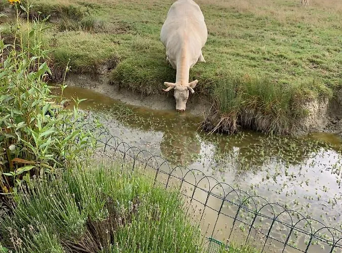 Chalet Bord De Mer 6 Couchages *