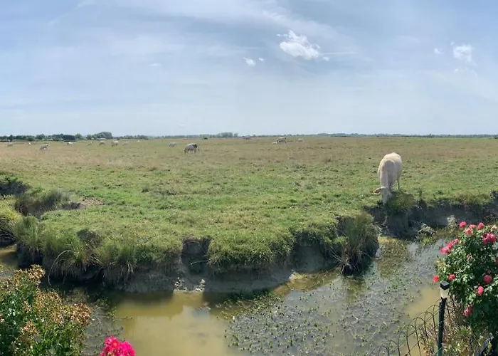 Chalet Bord De Mer 6 Couchages *