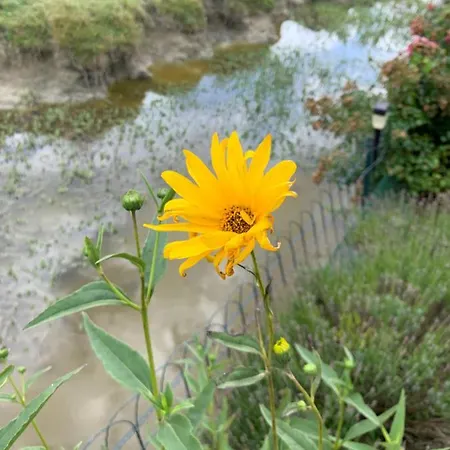 Chalet Bord De Mer 6 Couchages Chalé