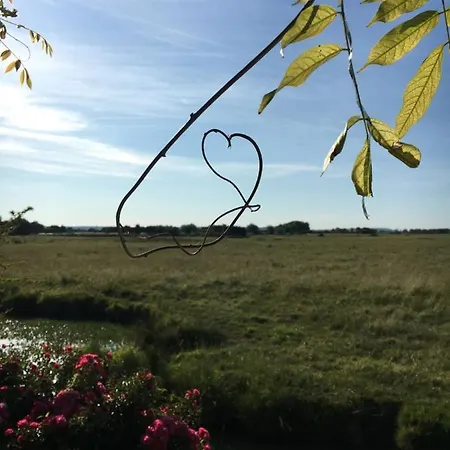 Chalet Bord De Mer 6 Couchages * Merville-Franceville-Plage