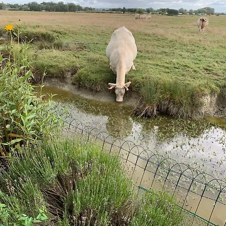 Chalet Bord De Mer 6 Couchages *