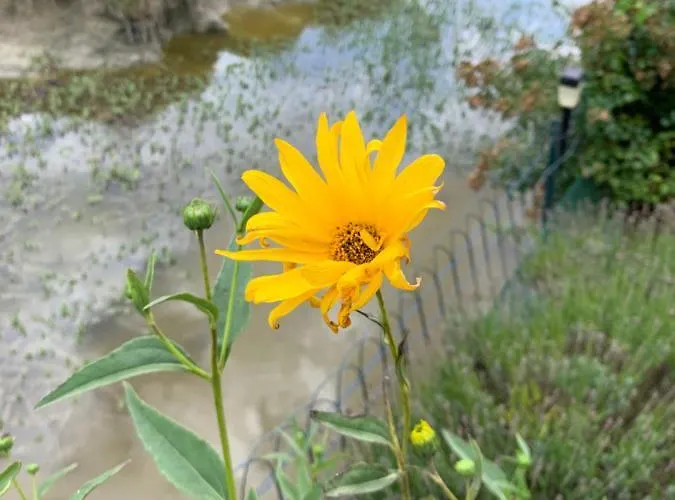 Chalet Bord De Mer 6 Couchages Chalé